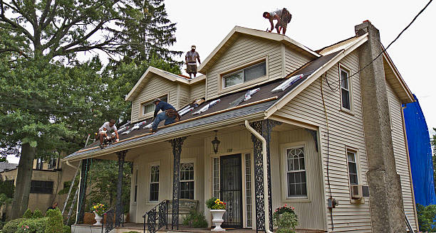 Best Metal Roofing Contractor  in Brookneal, VA