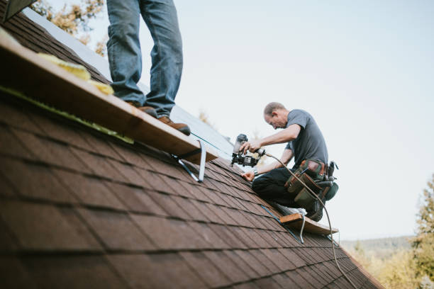 Best Roof Leak Repair  in Brookneal, VA